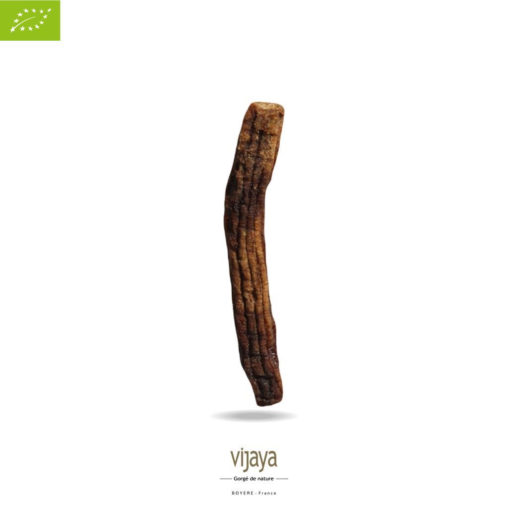 Vijaya