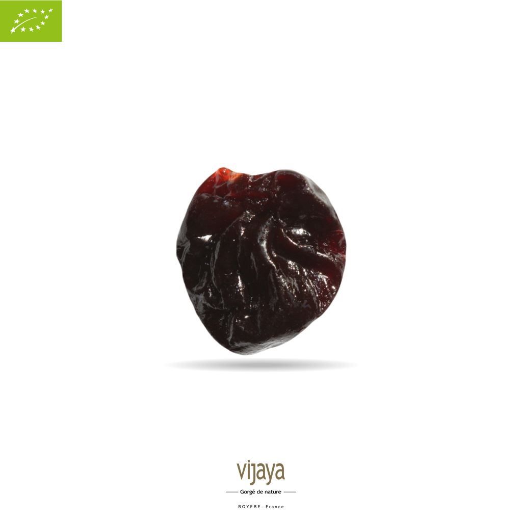 Vijaya