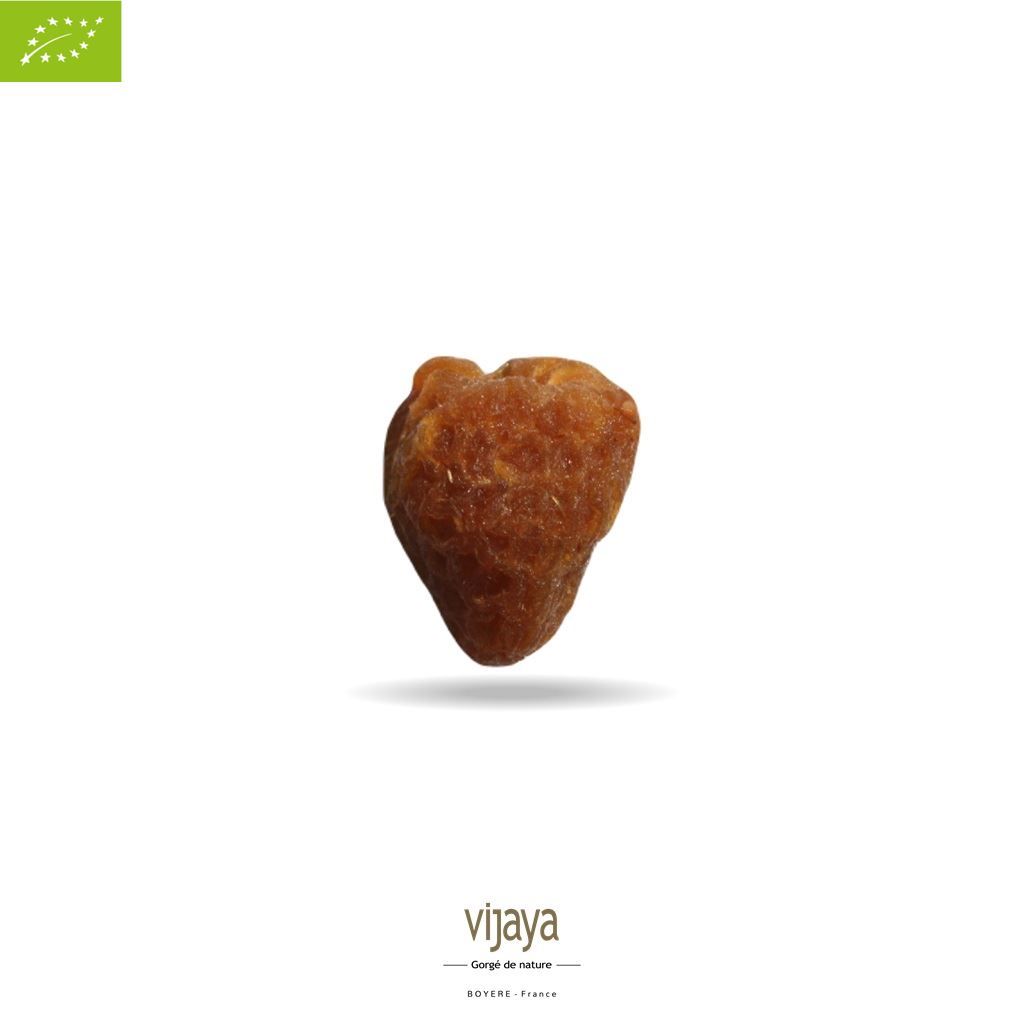 Vijaya