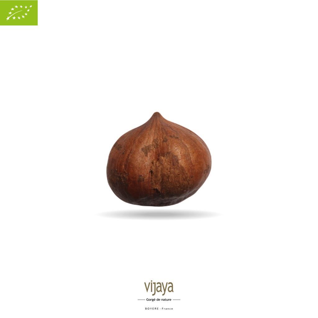 Vijaya