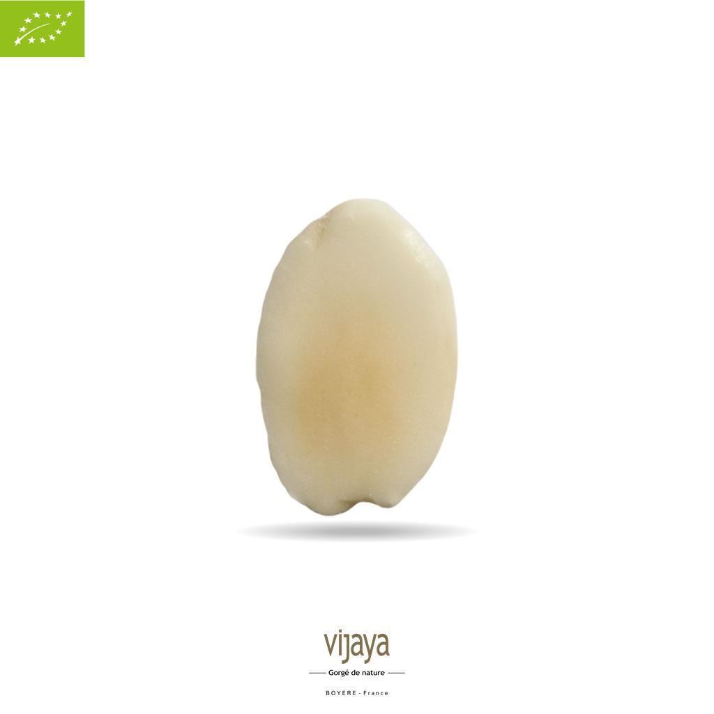 Vijaya