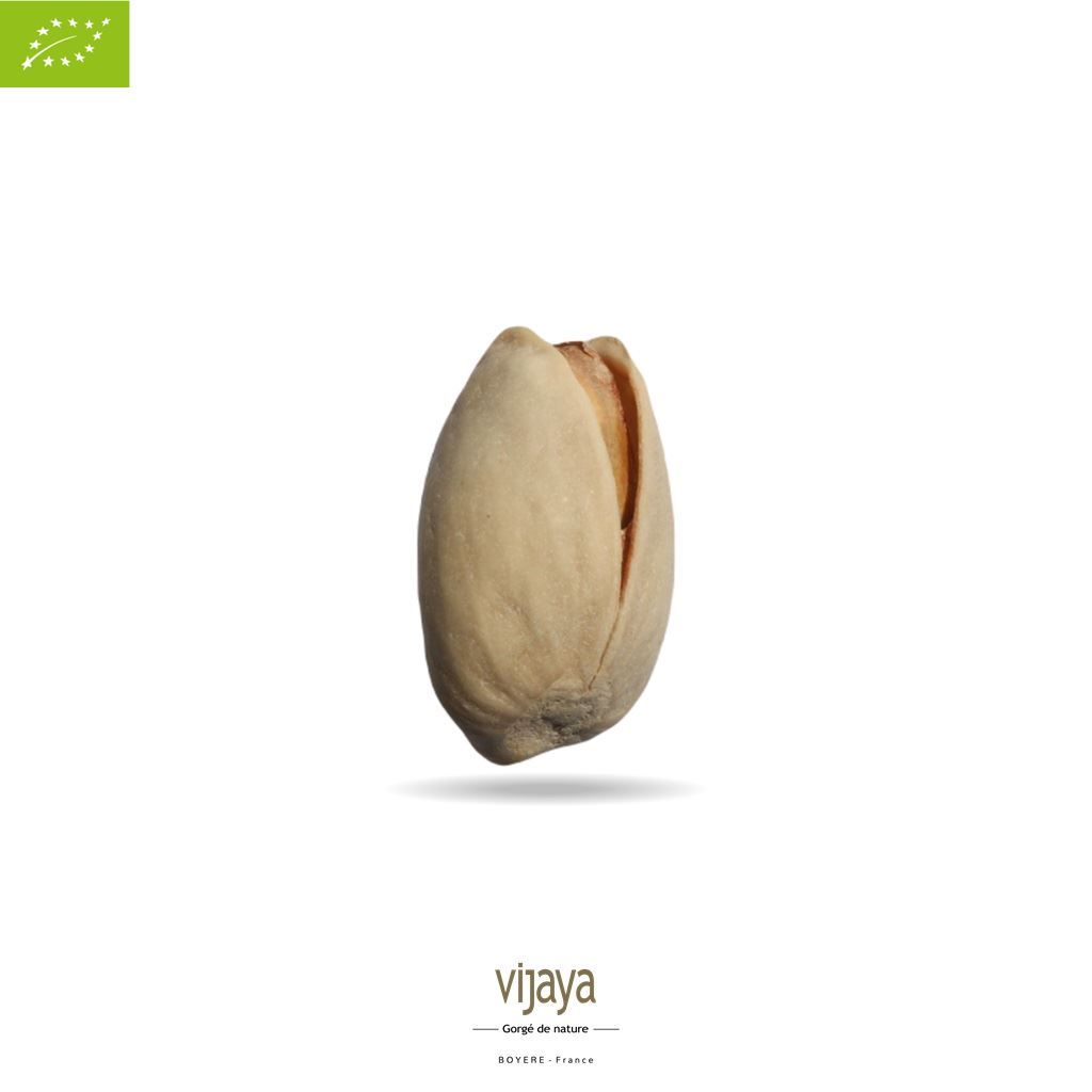 Vijaya
