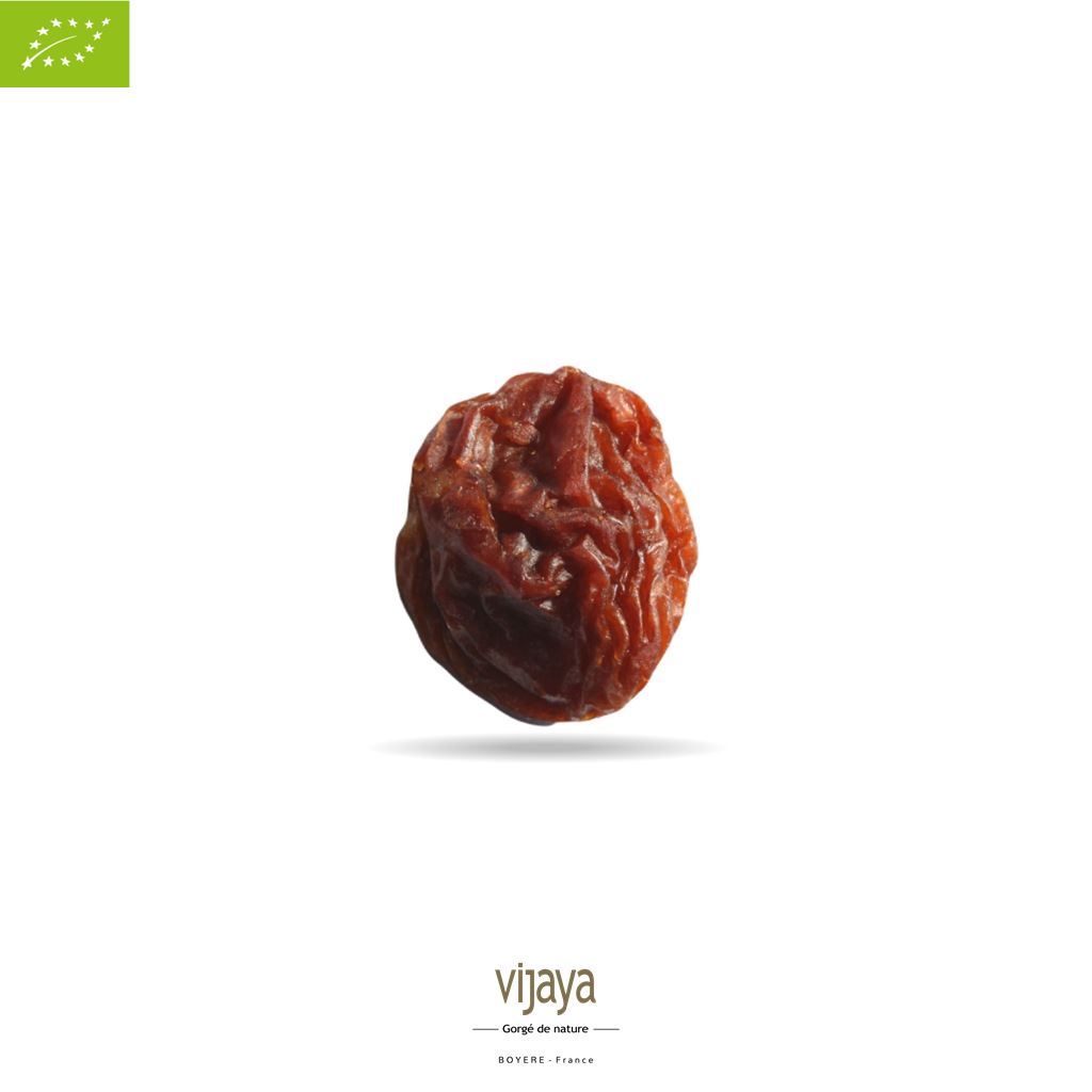 Vijaya