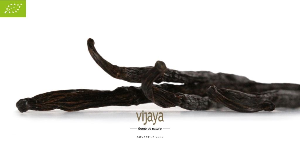 Vijaya