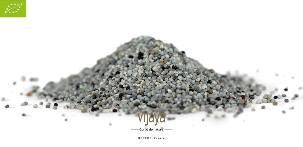 Vijaya
